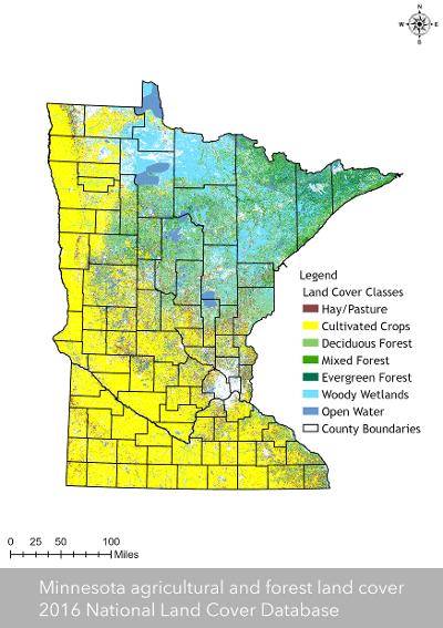 Understanding Minnesota's Forest Resources